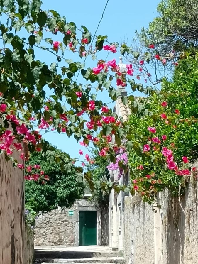 Seaview Dubrovnik Old Town Apartment ภายนอก รูปภาพ
